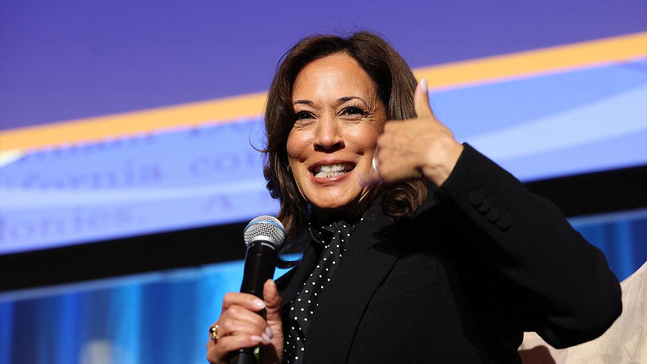 Megyn Kelly Giddy Over Kamala Harris Potentially Running for President in 2028: 'You Go, Girl'
