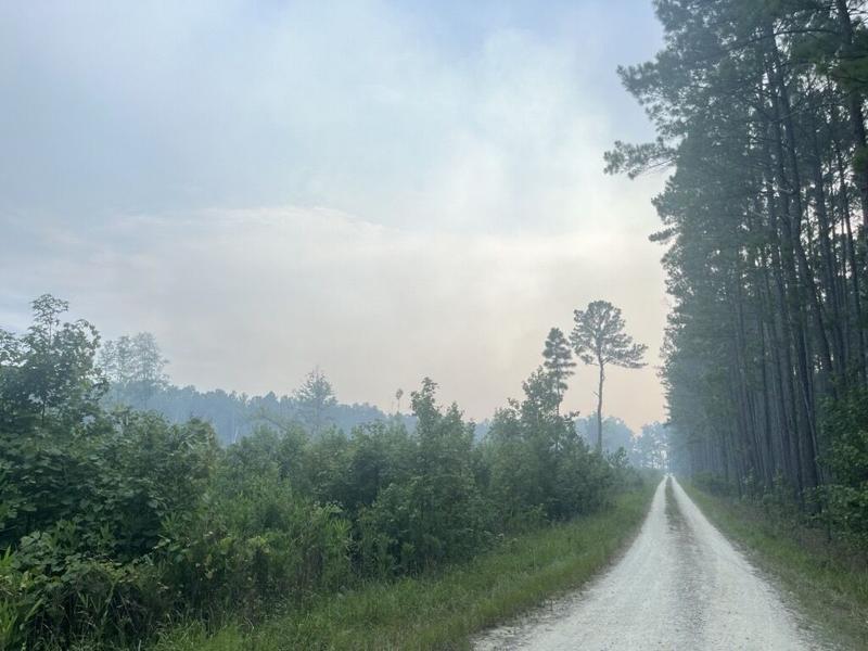 Smoke seen down a dirt road in Francis Marion Nation Forest in Berkeley County. A wildfire that started July 18 had grown to 800 acres on July 20. Jason Cato/Staff