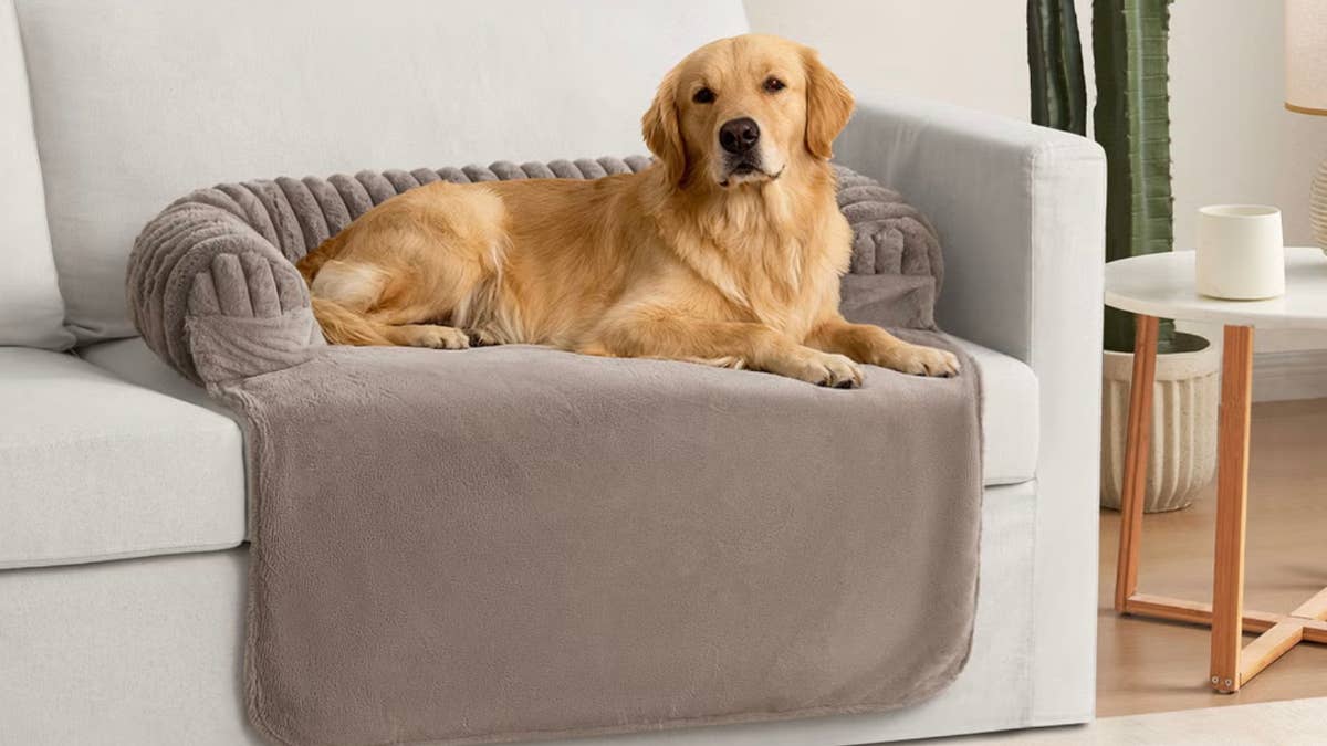 costcos-glitz-reversible-pet-furniture-cover-with-bolster