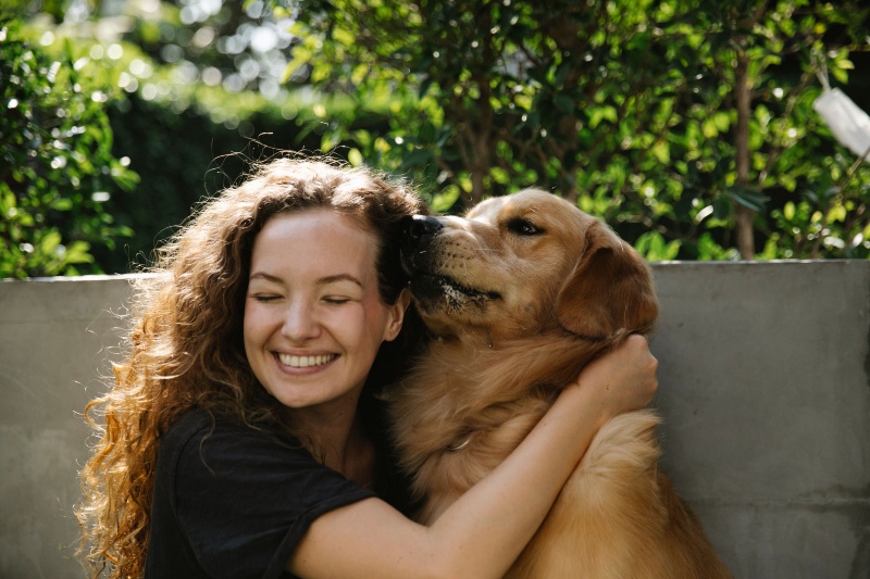 International Dog Day: Why dogs make us happier, according to science
