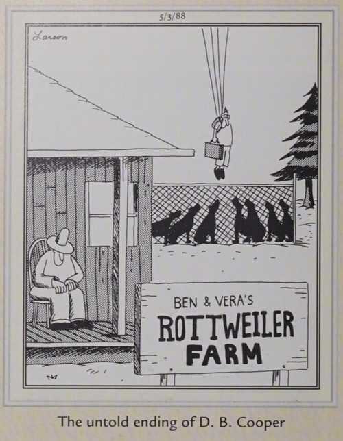 A man parachuting into a rottweiler den.