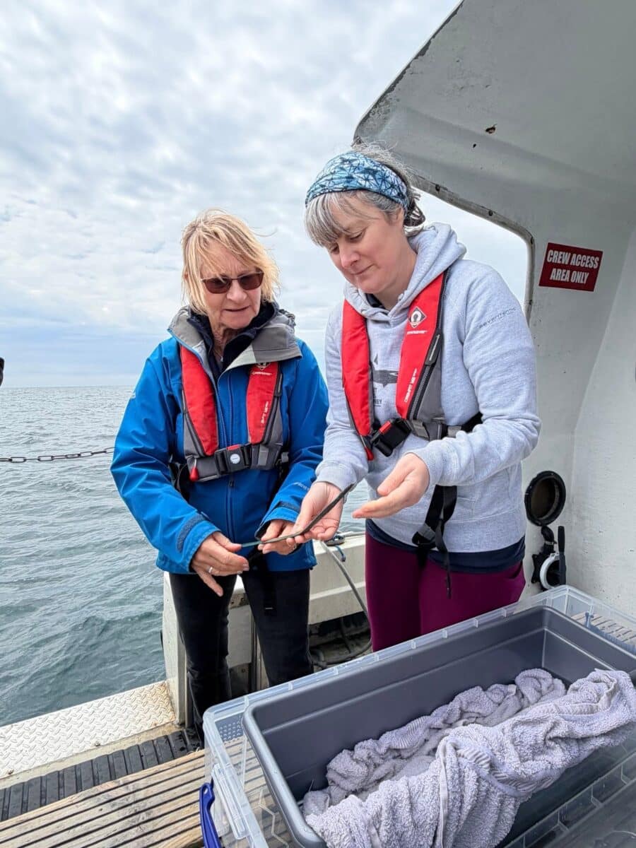 Experts examine a Bronze Age sword recovered from the seabed. Credit: South West Maritime Archaeological Group