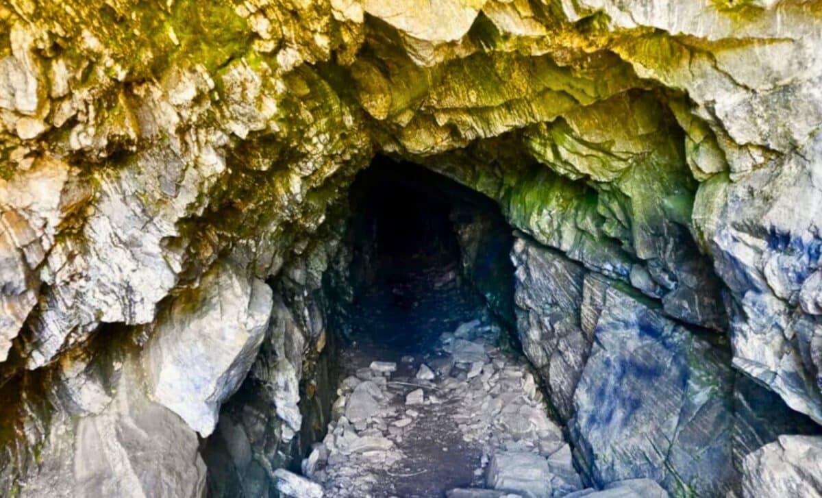 A ‘lost World’ Of Birds And Frogs From 1 Million Years Ago. Credit: Shutterstock | The Daily Galaxy --Great Discoveries Channel