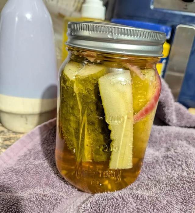 A jar filled with pickles and slices of onion submerged in liquid, resting on a cloth.