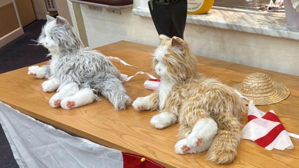 The robotic cats mimic the behaviour of normal cats as they purr, meow and move their limbs
