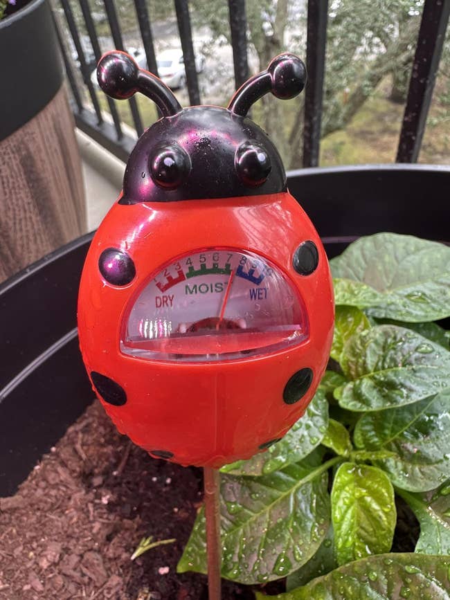 Ladybug-shaped soil moisture meter in a garden pot, indicating moisture level as