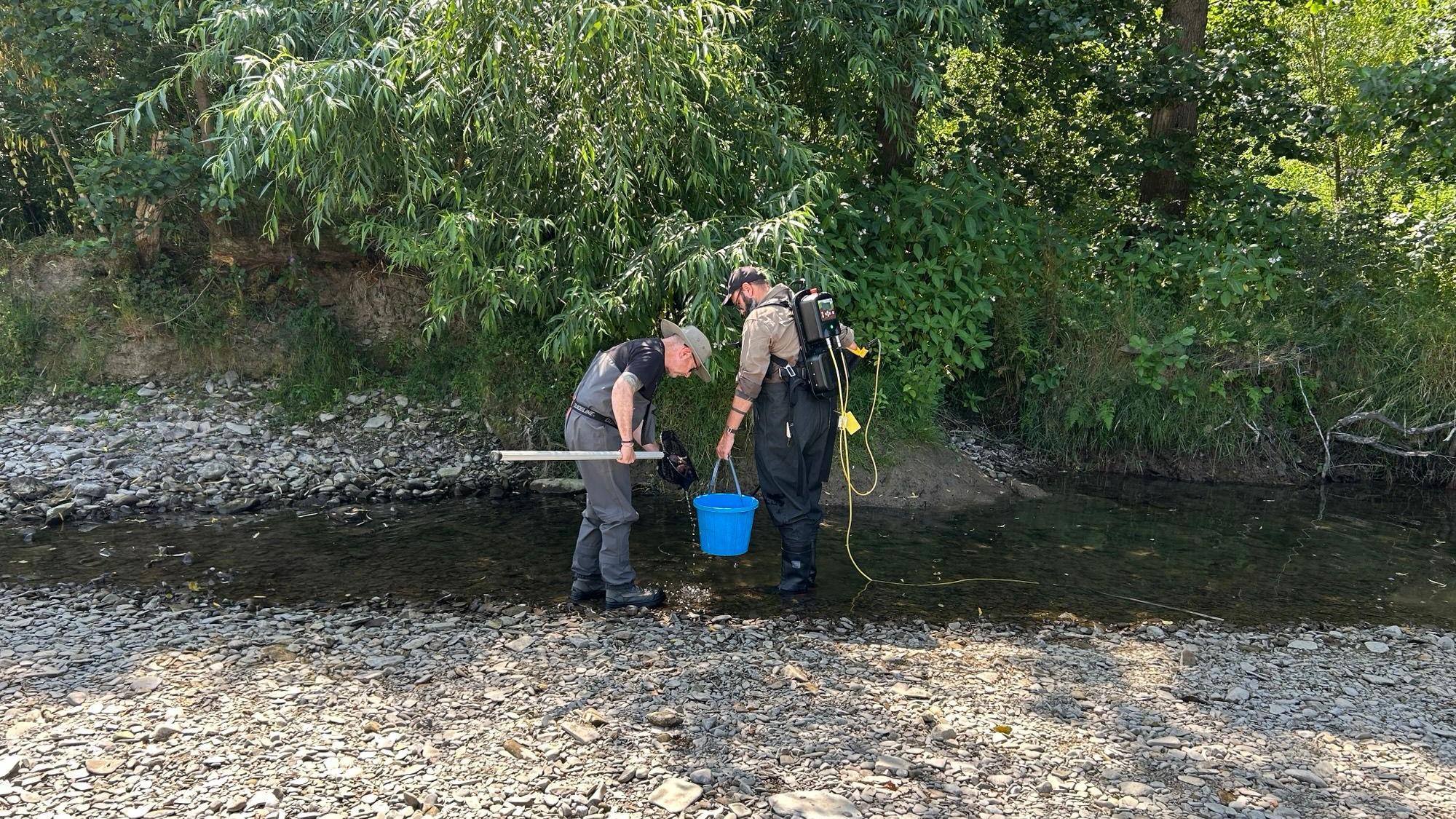 Fish rescue operations have been carried out on the River Teme in Shropshire