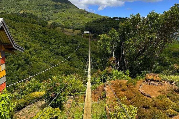 Nepalese Bridge at La Vallée des Couleurs Nature Park in Mauritius