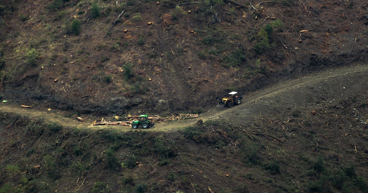 Trump's goal to open more forests to logging could threaten drinking water for 25 million Americans