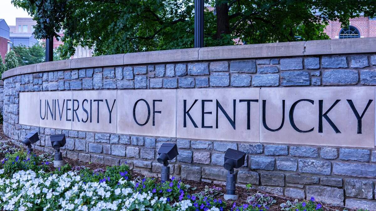 Hiring of UK law dean opens path for Trump to appoint conservative ...
