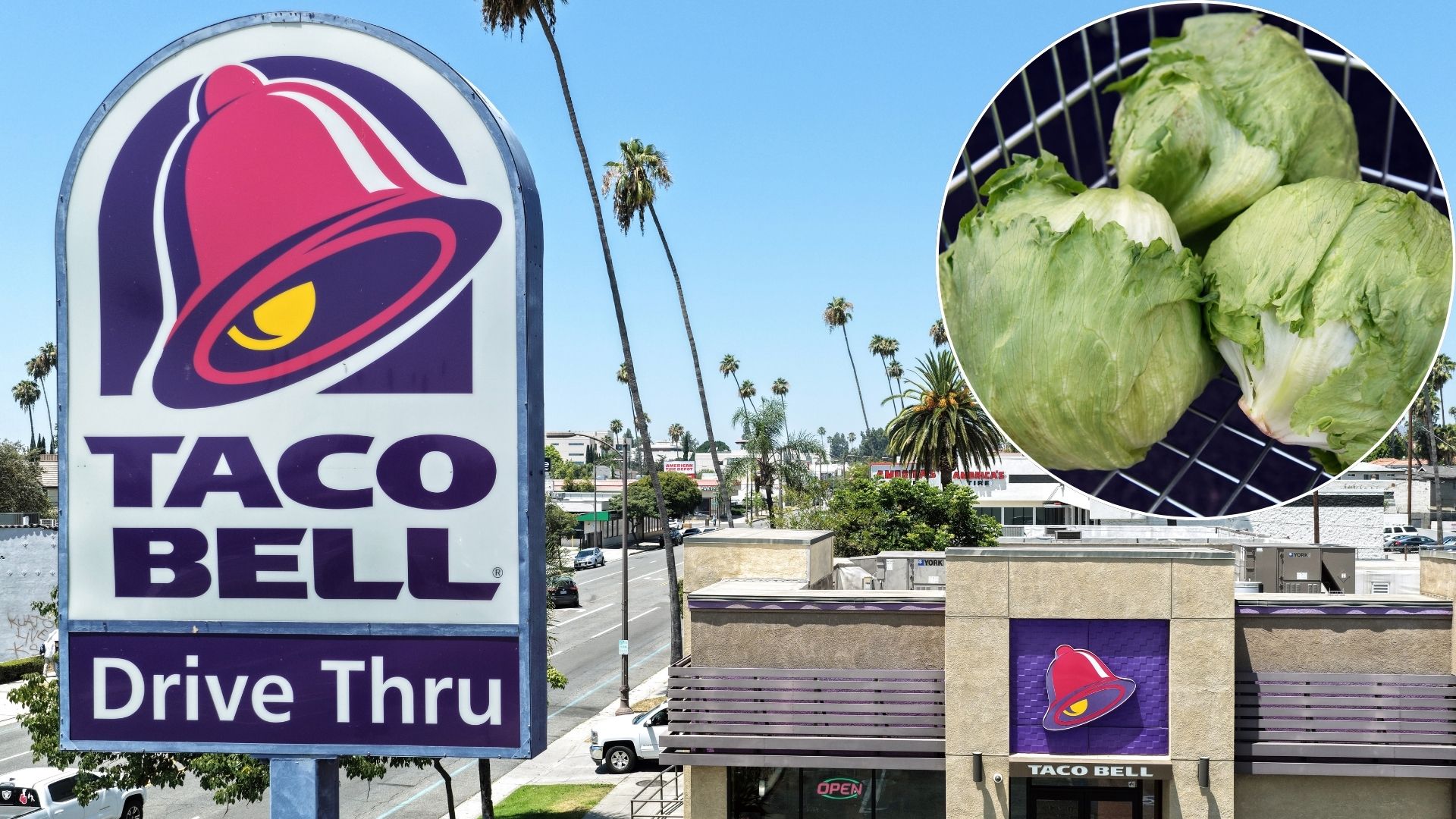 Major US outbreak traced to Taco Bell lettuce