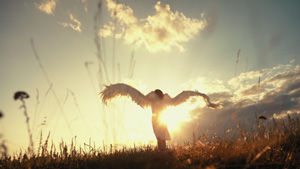 angel Aniel
