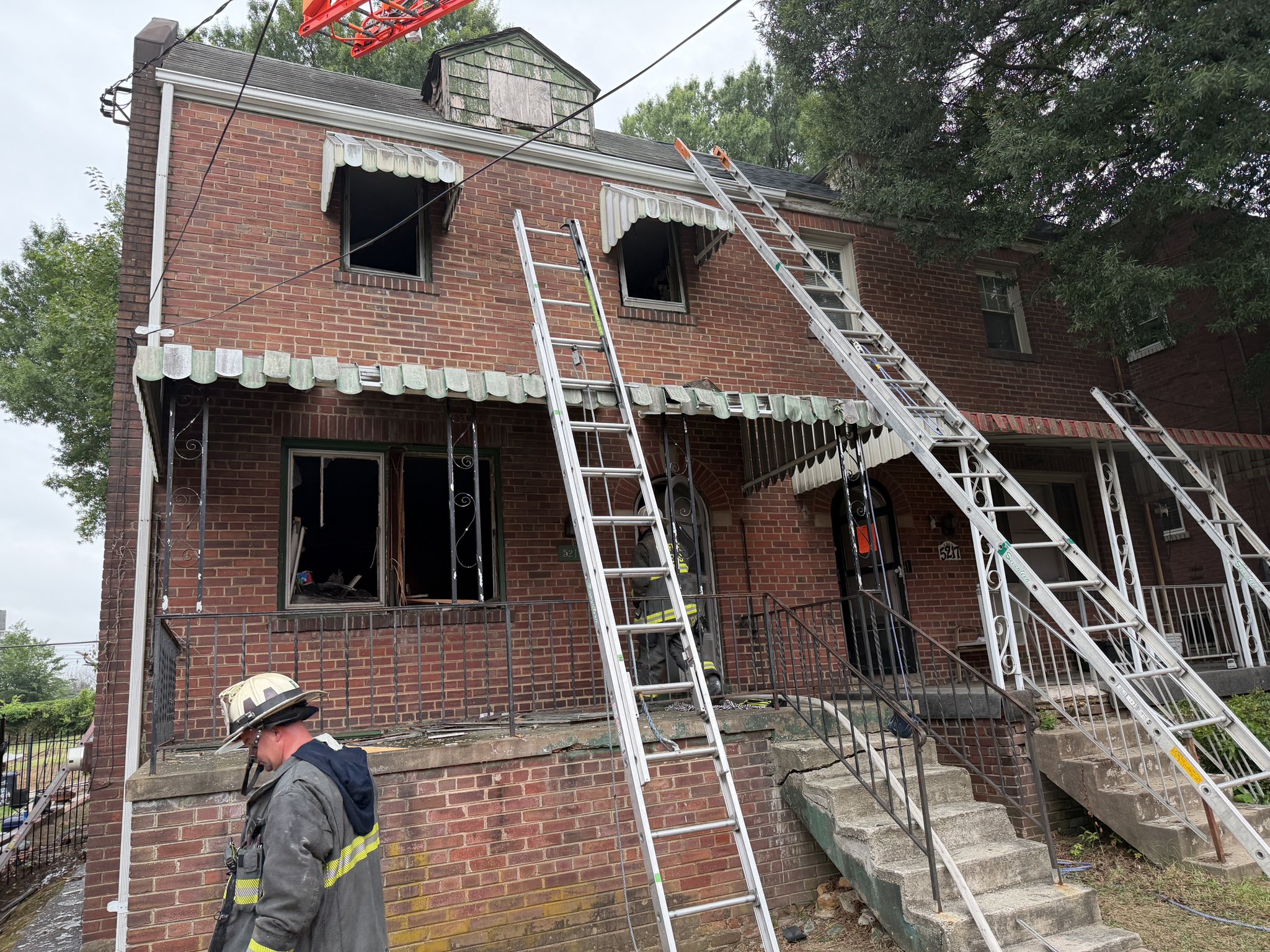 Cats, woman rescued from accidental fire in DC