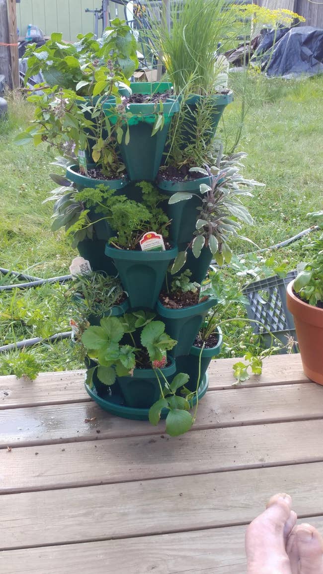 Vertical garden planter with various herbs on a wooden deck. A foot is visible in the bottom right corner