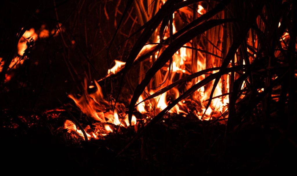 Fires raged for thousands of years during ancient global warming