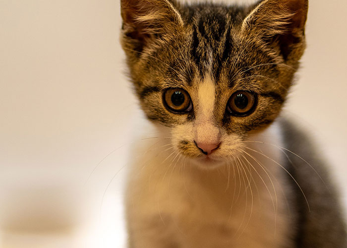 75 Facts That Are Blunt, Useless, And Kind Of Mean