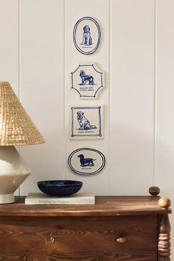 Four porcelain wall plaques feature different dog illustrations with breed names, hanging above a wooden dresser with a lamp and a bowl