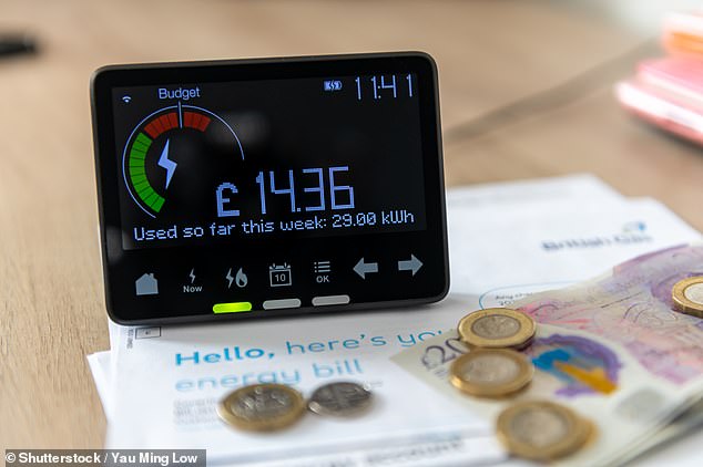 Cost cut: The VAT cut on bills could save households £45 per year on average, but switching to a fixed deal at the same time could cut their energy costs by hundreds