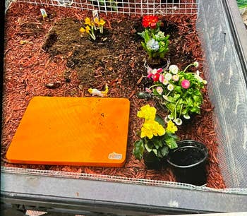 Raised garden bed with a variety of blooming flowers being planted, gardening tools and mat visible