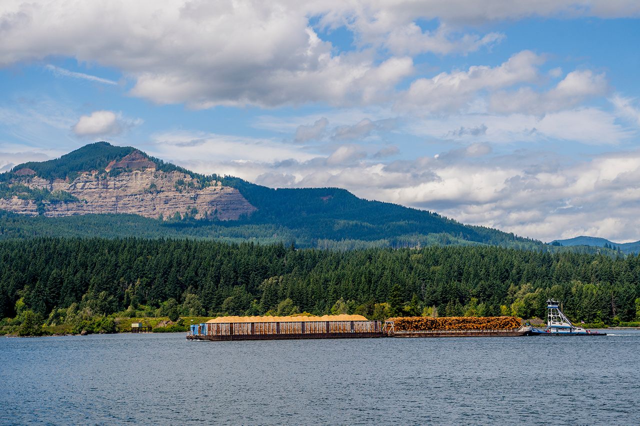 OREGON, UNITED STATES - 2025/08/17: View of the Columbia River with a barge transporting lumber and woodchips from the town of Cascade Locks, Oregon