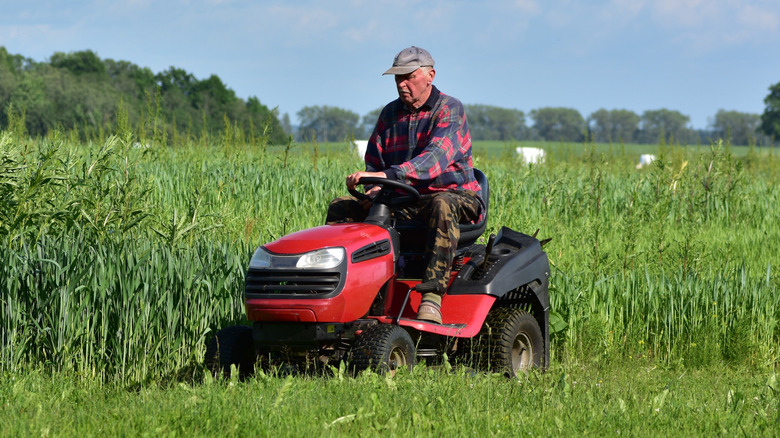 Cylinder Or Rotary Lawn Mower: How To Choose The Best One For Your Yard