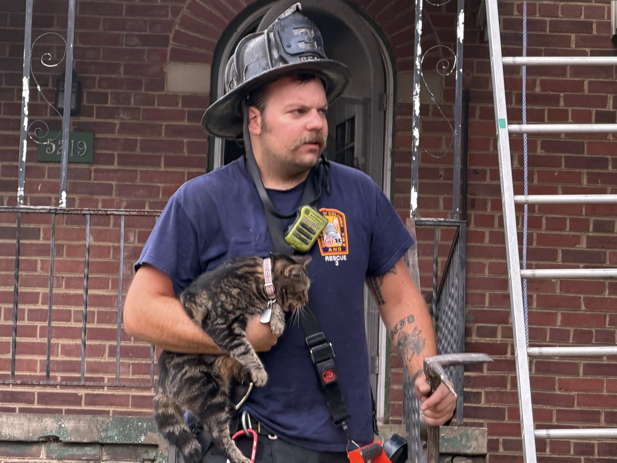 Cats, woman rescued from accidental fire in DC