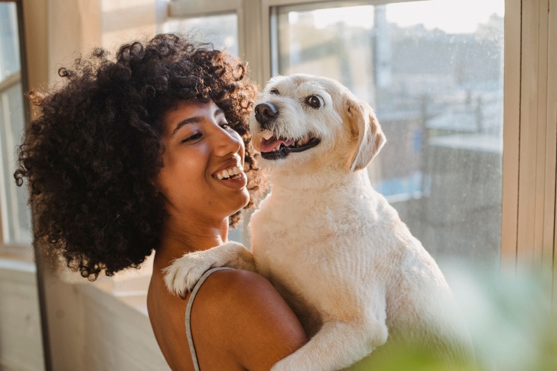 International Dog Day: Why dogs make us happier, according to science