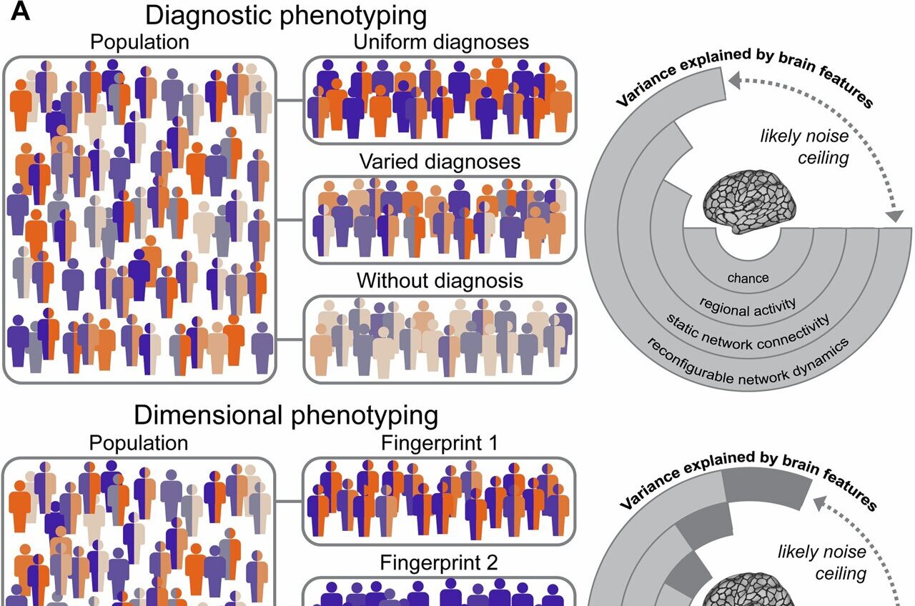 Why brains lose their flexibility in psychiatric conditions