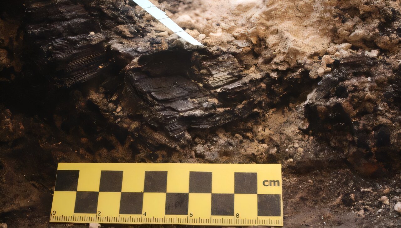 Burnt wooden beams discovered in Jerusalem shed new light on the First Temple's destruction