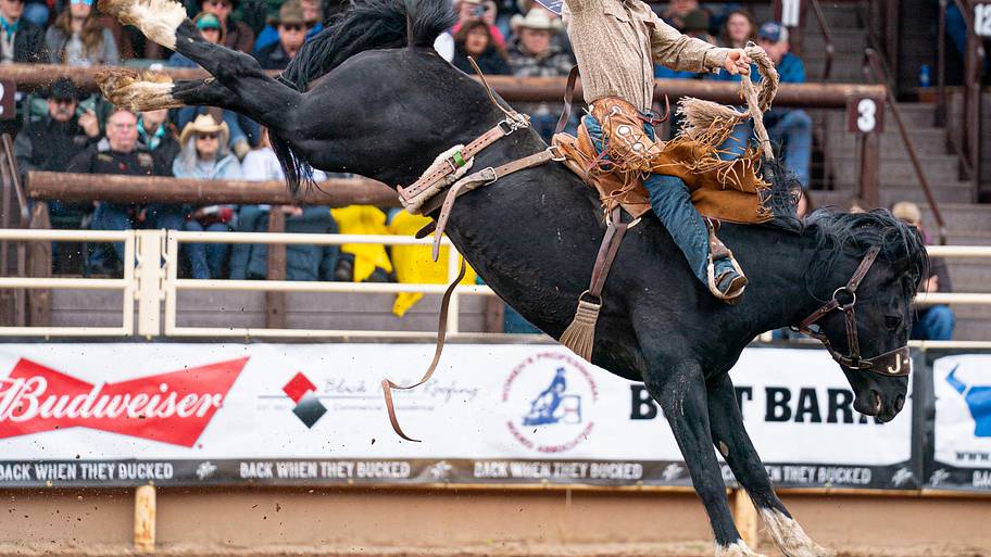 NFR qualifier Summer Kosel headlines winners at Corn Palace Stampede Rodeo