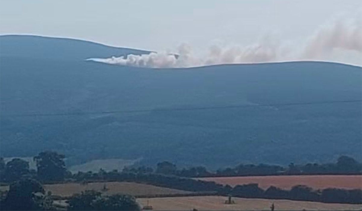 Coillte forest hit as Slievenamon wildfire intensifies amid changing winds