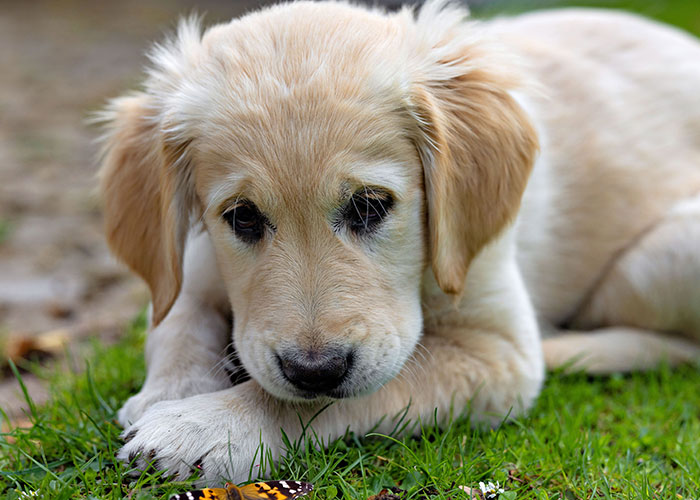 75 Facts That Are Blunt, Useless, And Kind Of Mean