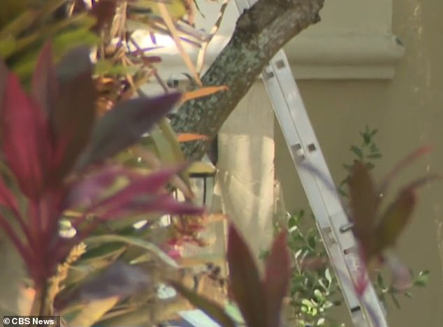 A clip taken by CBS News showed the ladder still outside the home (pictured) as Cardozo's distraught family members cried outside the property