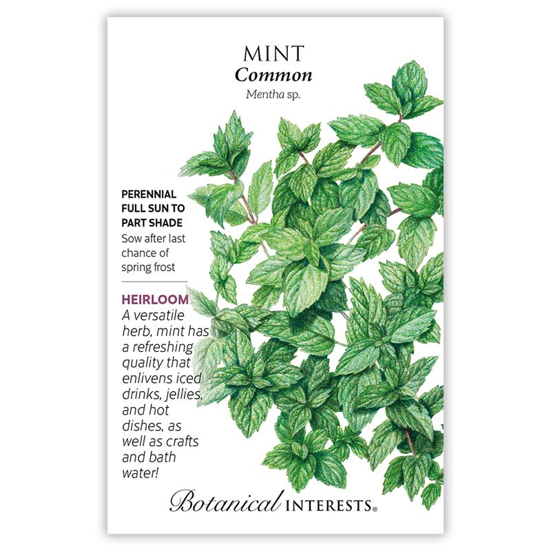 Botanical Interests mint seeds