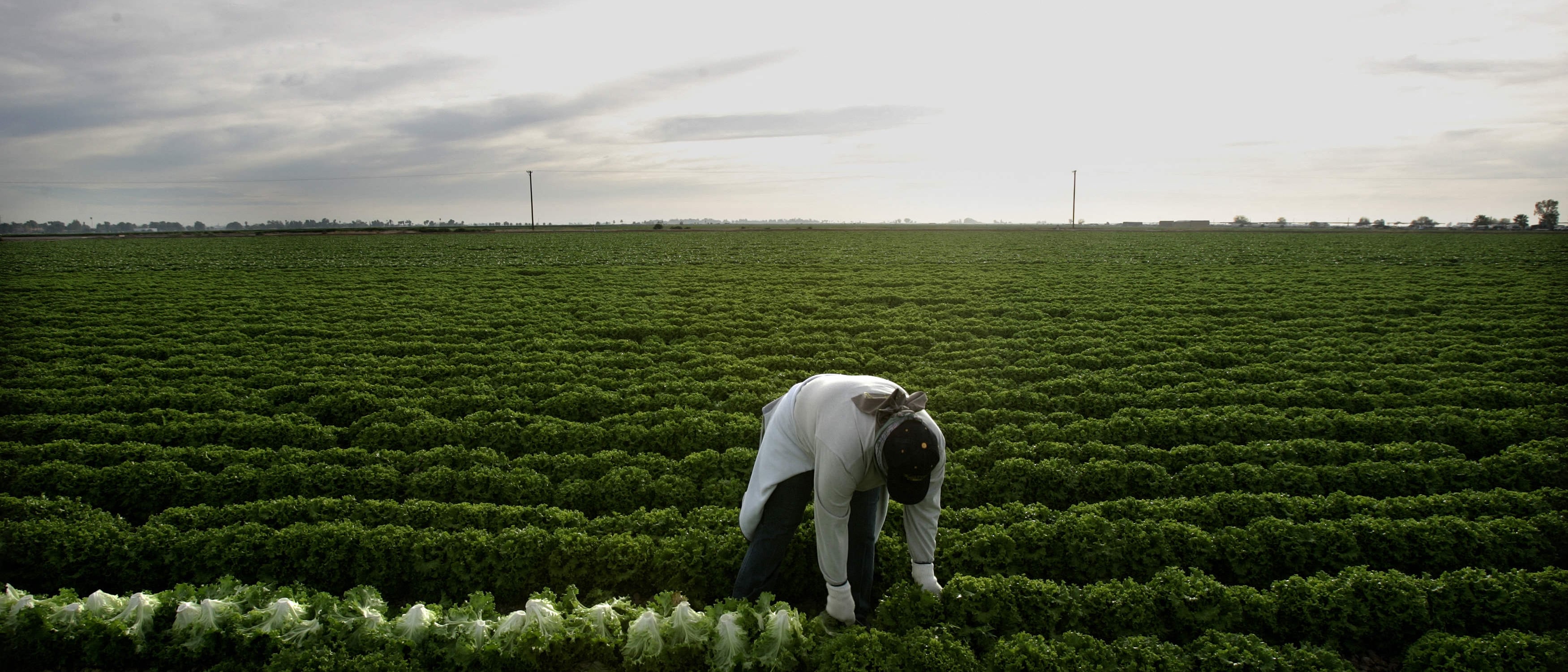 Republicans promised to put America first, instead they've betrayed everyone for money from massive agriculture donors