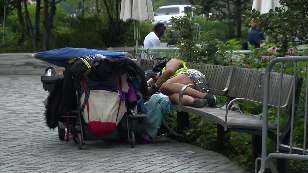 Slow pace of clearing Manhattan homeless encampments leaves some questioning Mayor Zohran Mamdani's approach