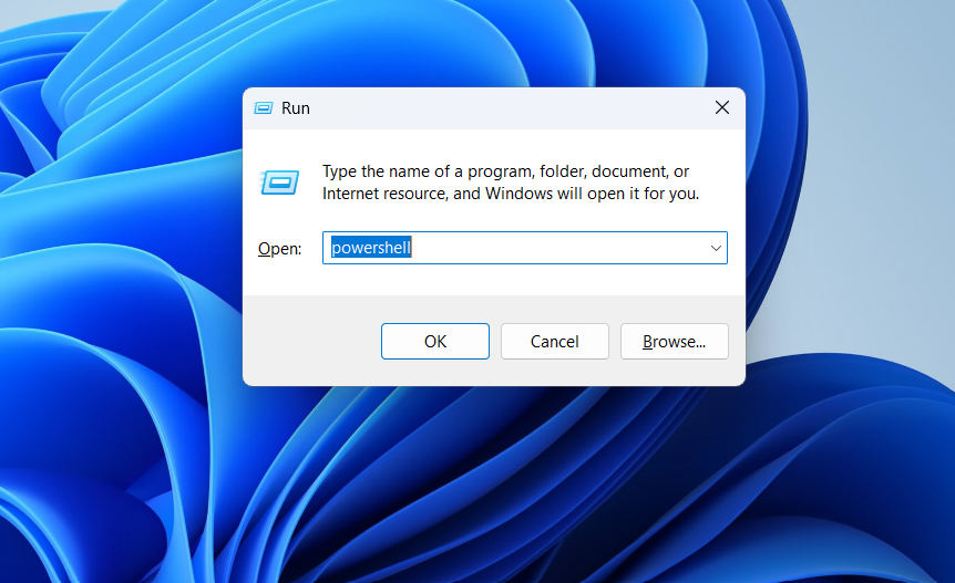 The run dialog opened on Windows 11.