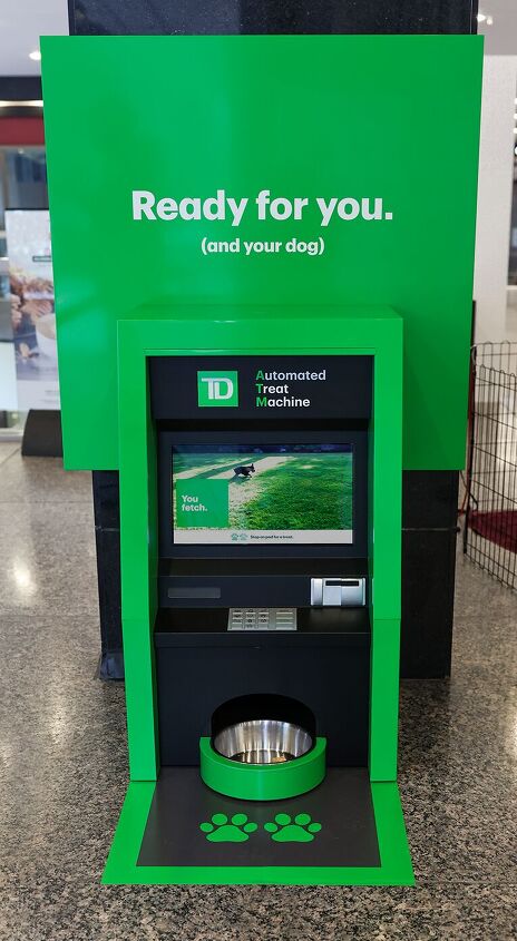 Canada's TD Bank offers withdrawal perks for dogs