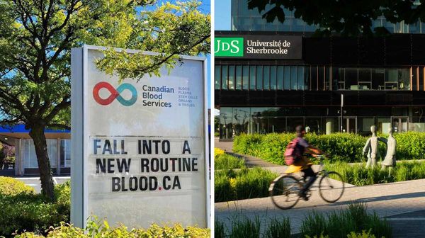 This new best employers in Canada ranking reveals the top companies to ...