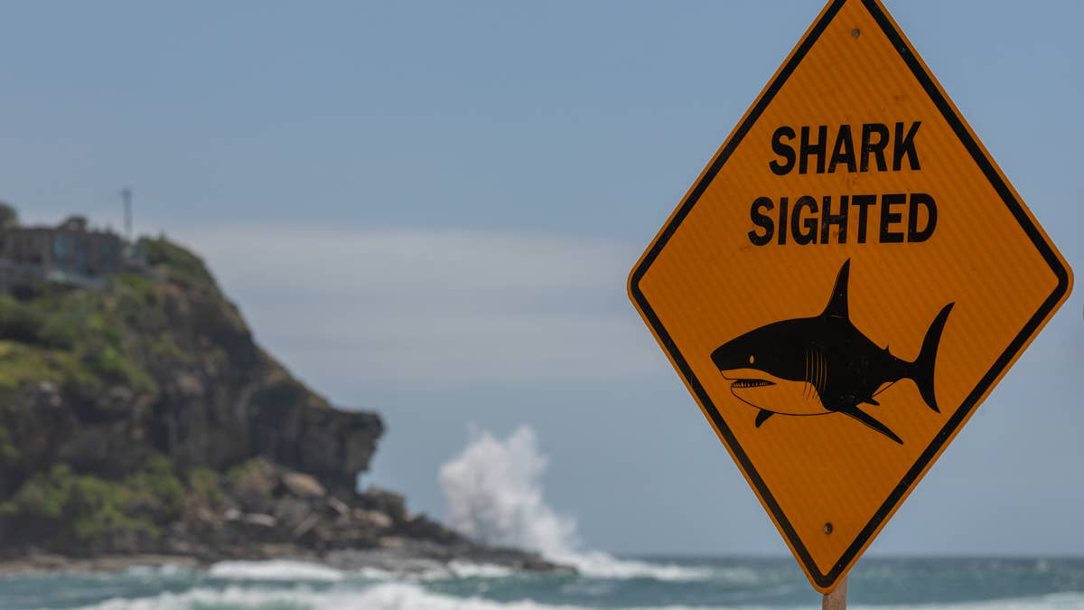 Can a $24 million increase in shark mitigation funding save lives in Australia?
