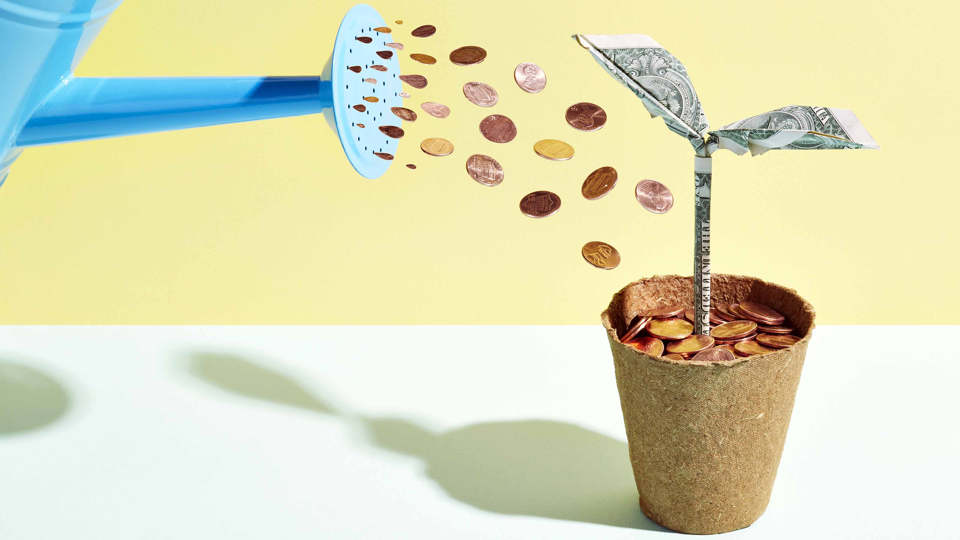 origami money tree being watered