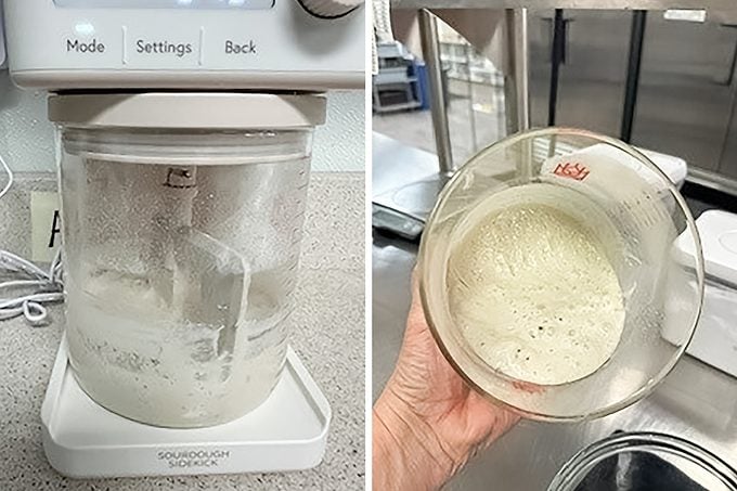 Toha26 Sourdough Sidekick Catherine Ward 03