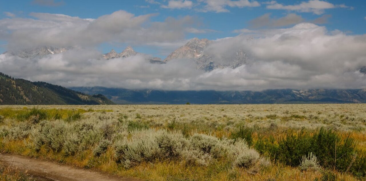 Low cloud cover has helped mute warming for the last 47 years, but models predict this will change