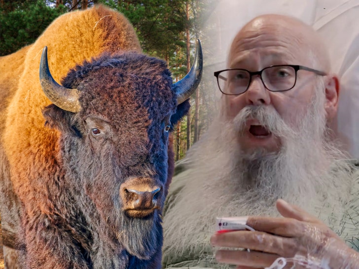 Viral bison attack victim recalls painful encounter from hospital bed