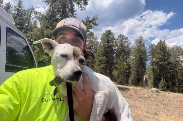 Lost in Colorado wilderness for 33 days, terrier dodges mountain lions, becomes so wild she doesn't recognize owner right away