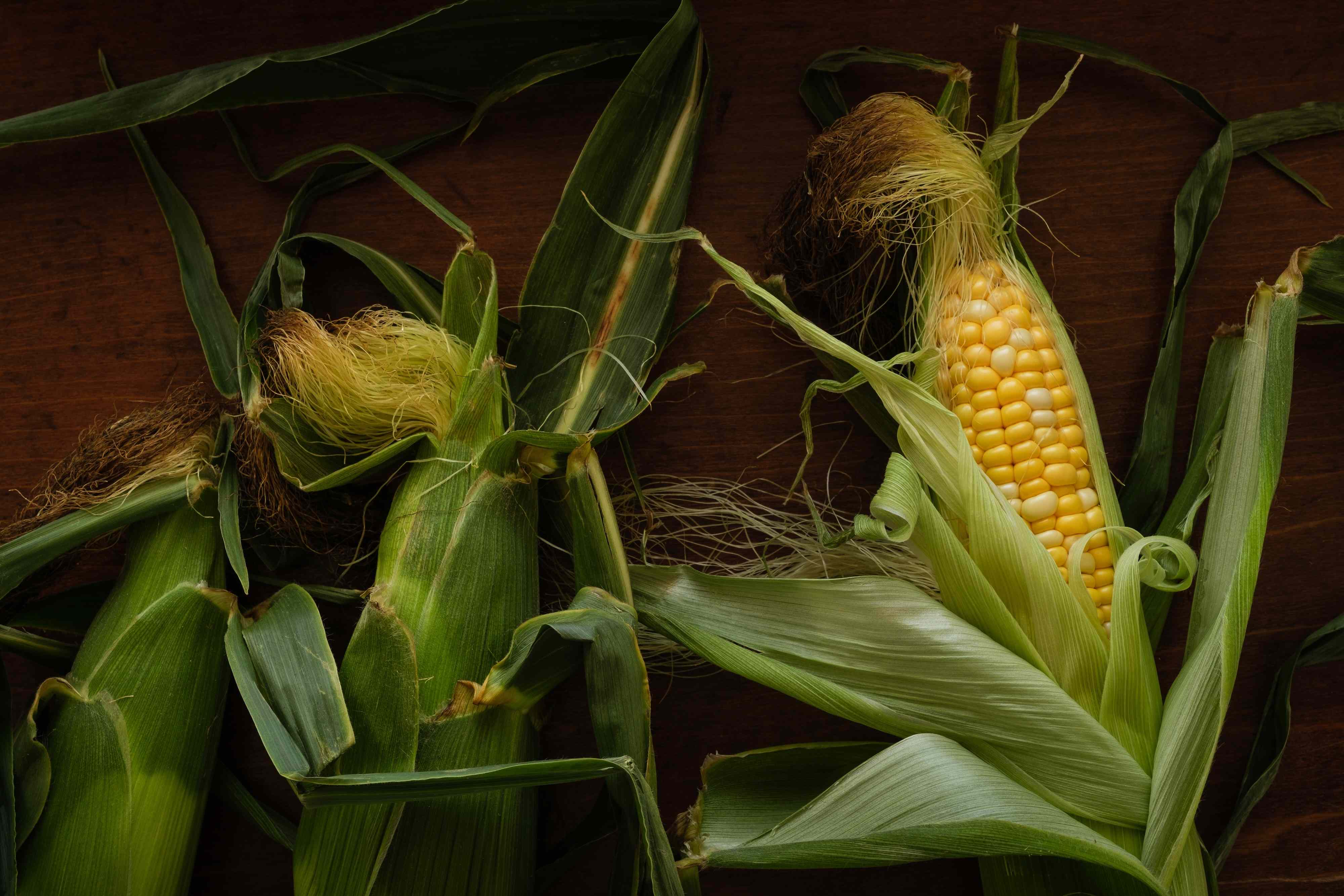 We asked a dietitian if you really need to avoid GMO foods
