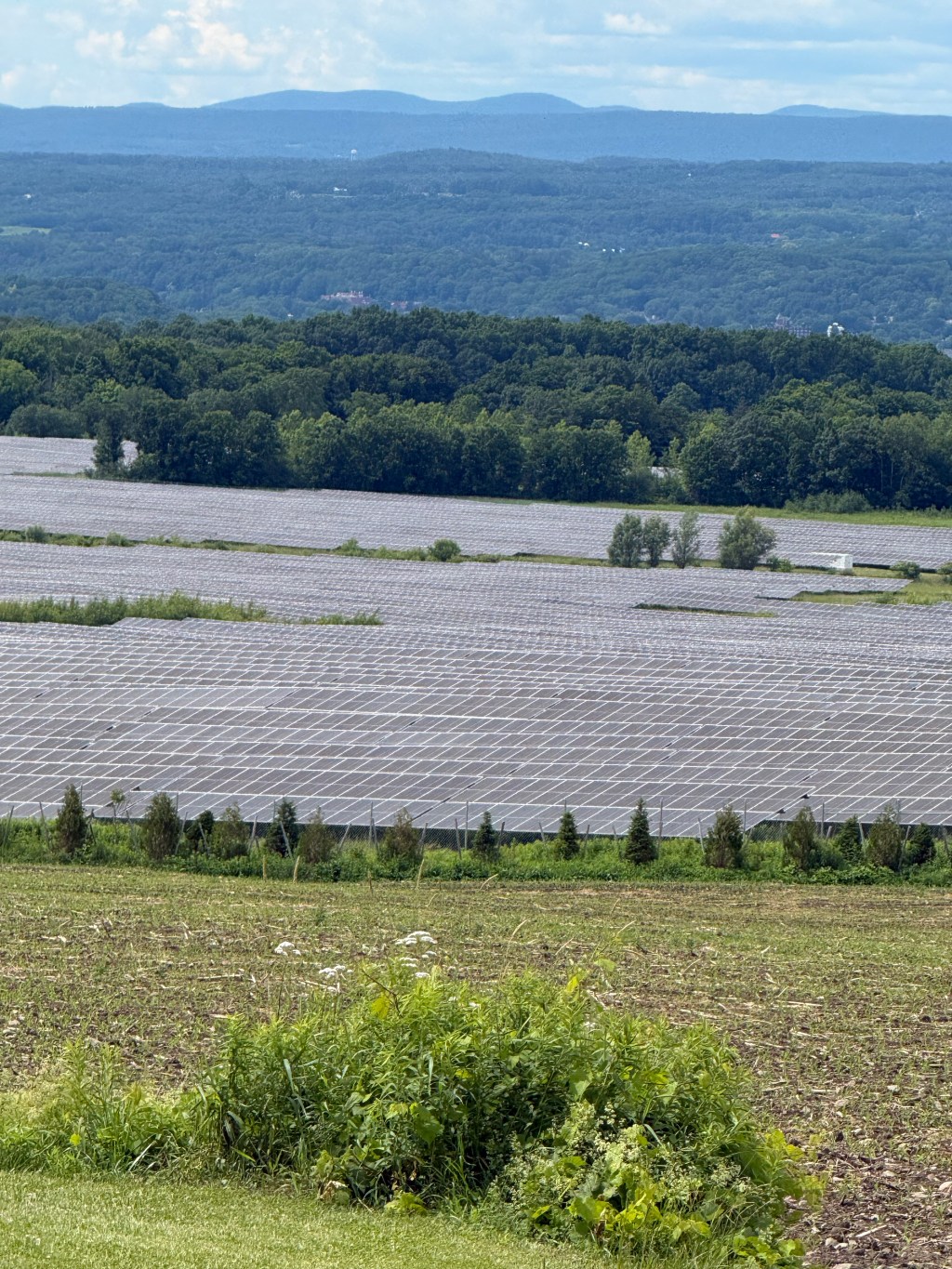 solar farm in Kingsbury New York (credit to Alex Fasulo)