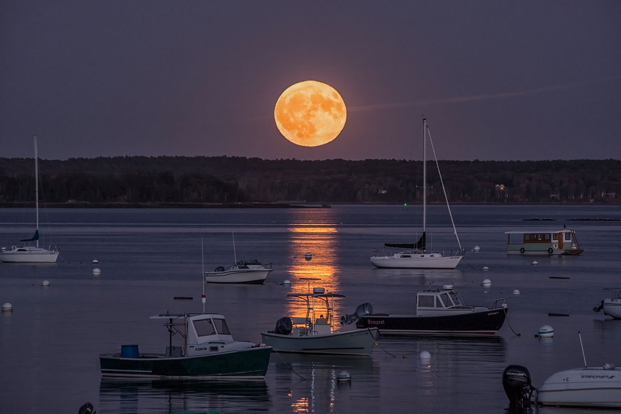 A beautiful, golden harvest moon rises over Falmouth Harbor, Maine