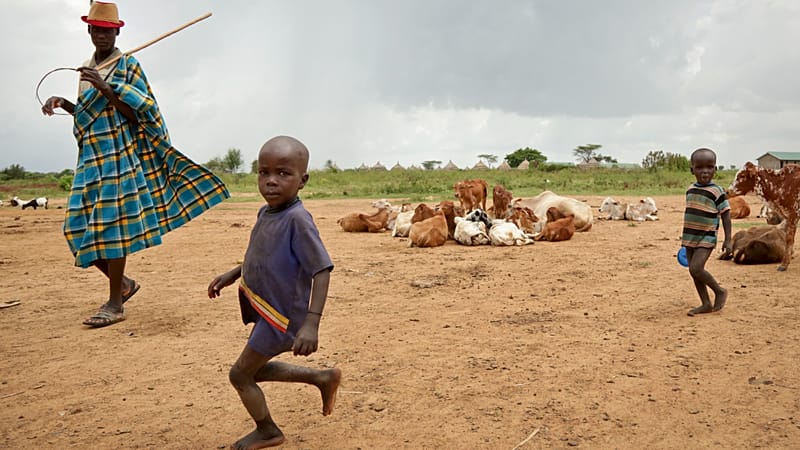 Uganda launches emergency food aid for drought-hit Karamoja