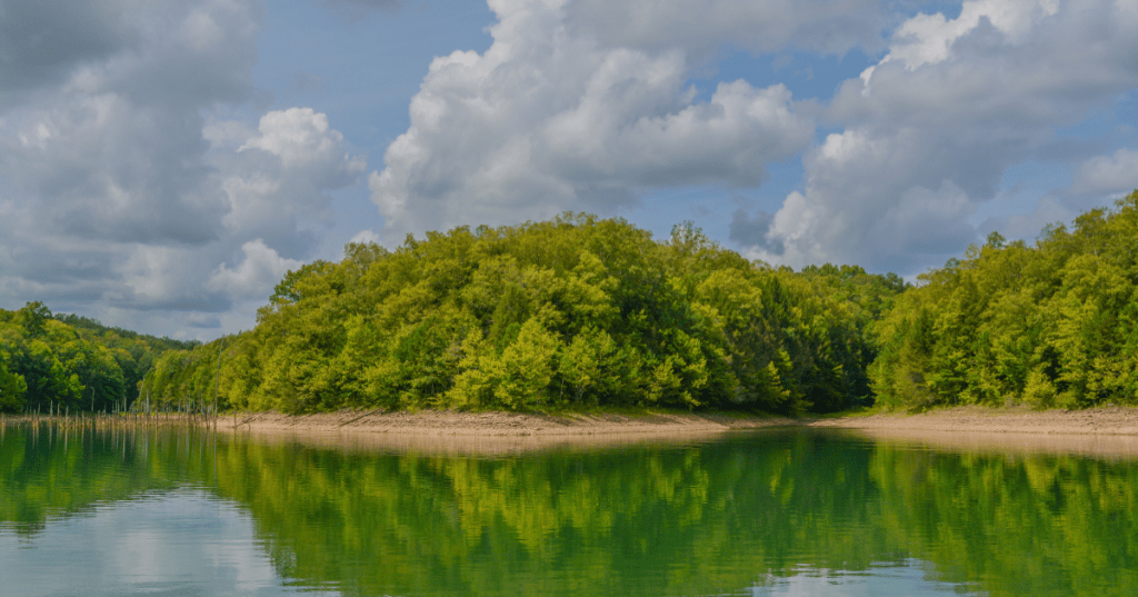 the sand- and tree-lined shore of laurel river lake in corbin kentucky